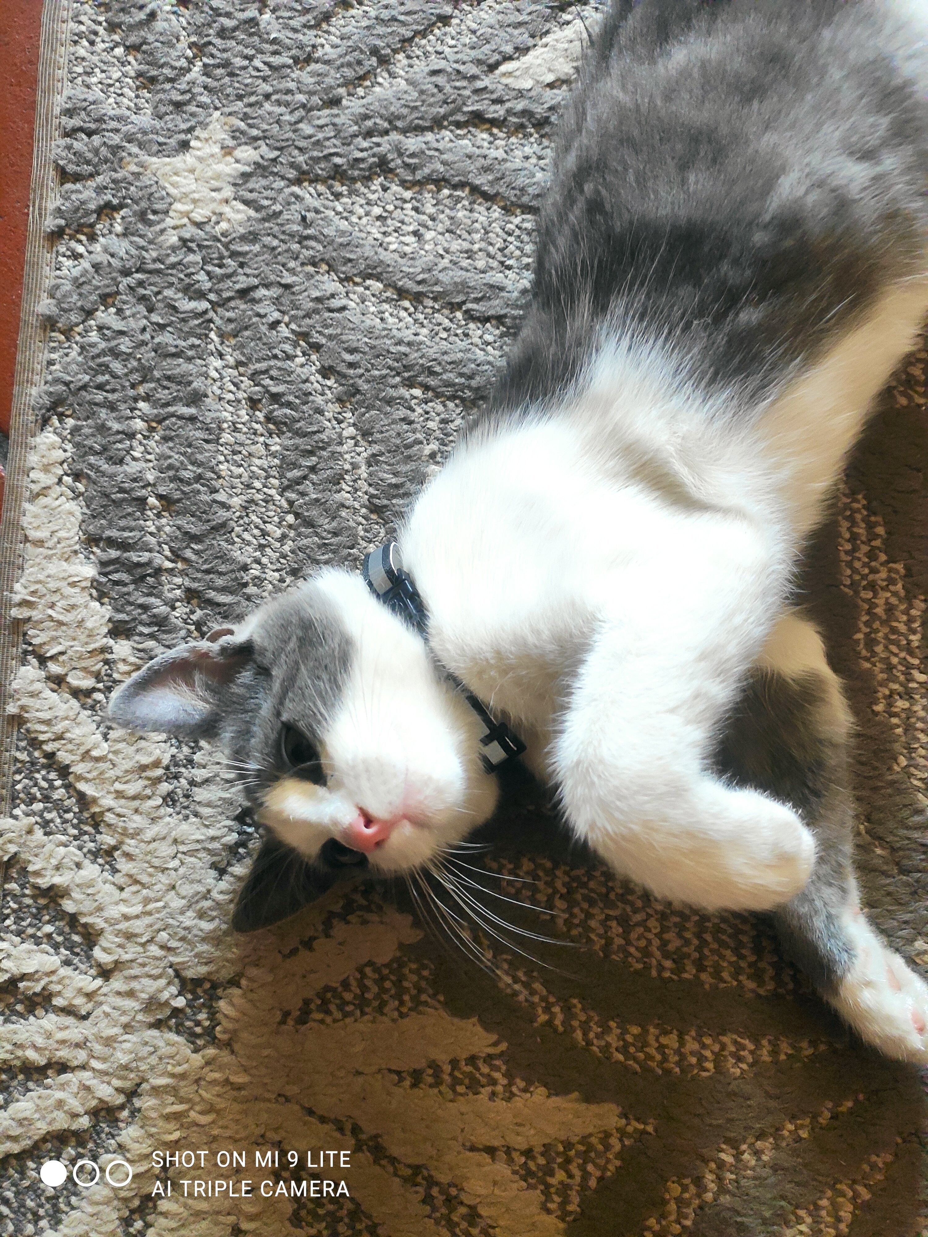 Il giardino dei frati B&B-官方