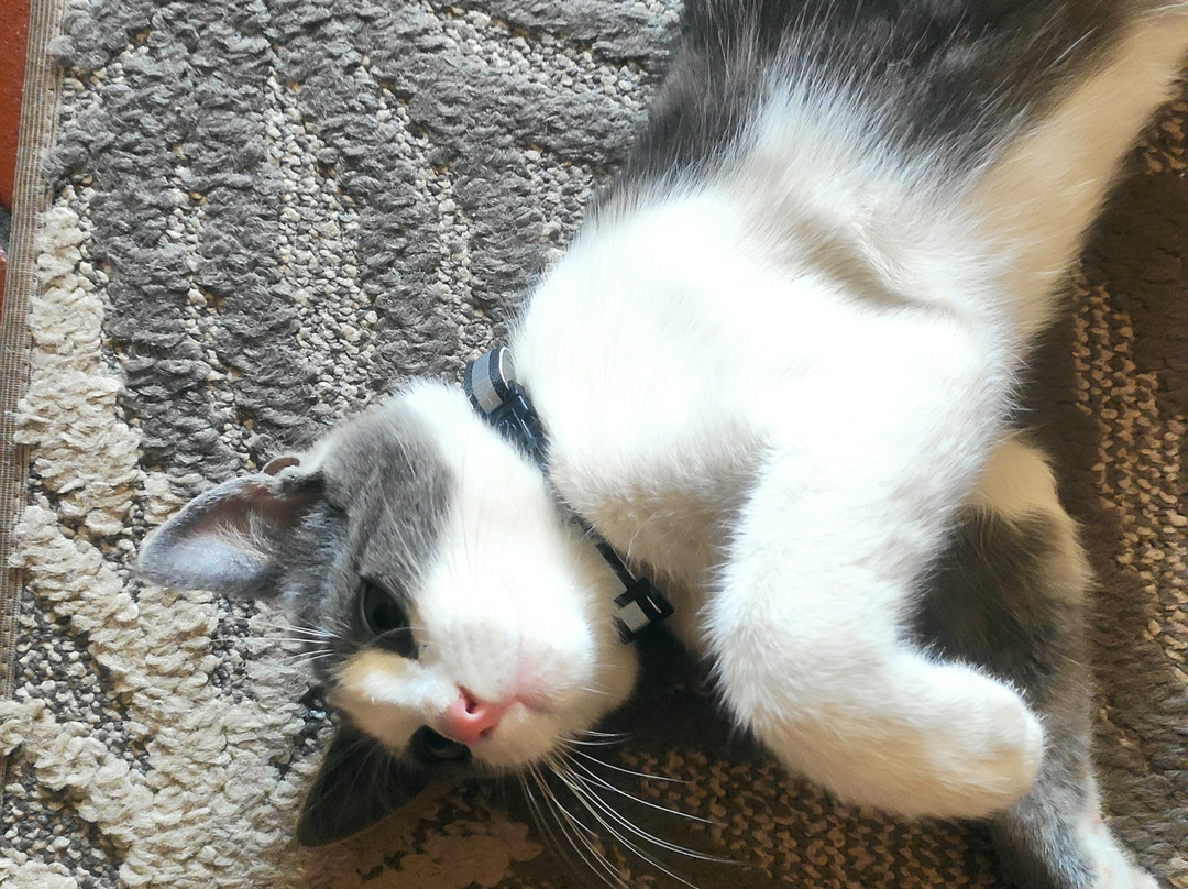 Il giardino dei frati B&B主图