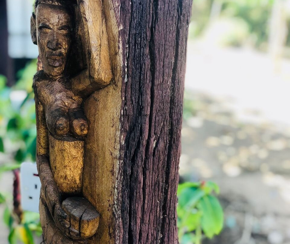 Saadani Pangani Camps And Tours-Pangani必去景点