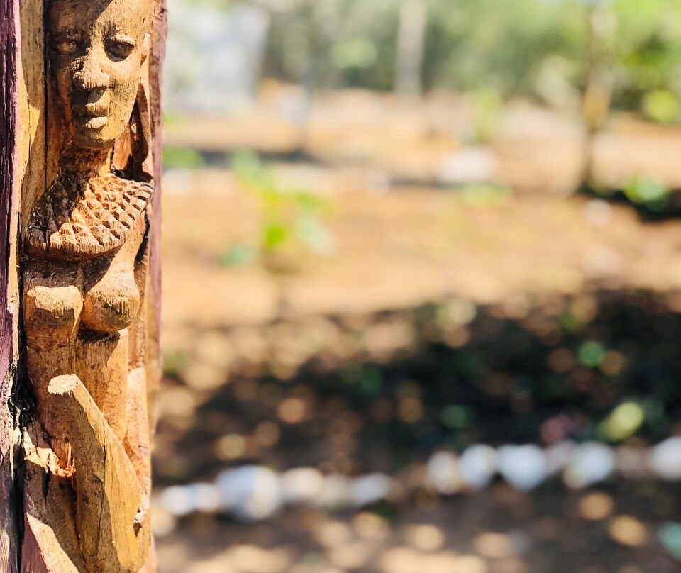 Saadani Pangani Camps And Tours-Pangani必去景点