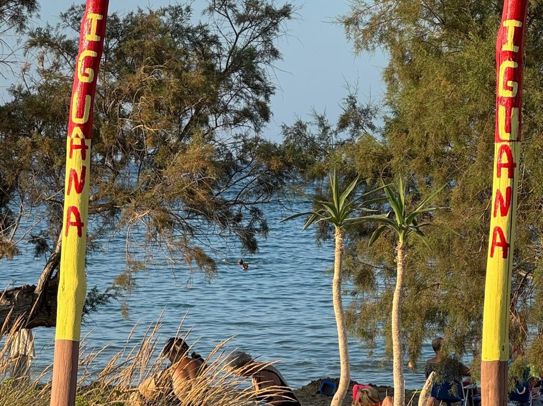 Iguana Beach-Agii Apostoli必去景点