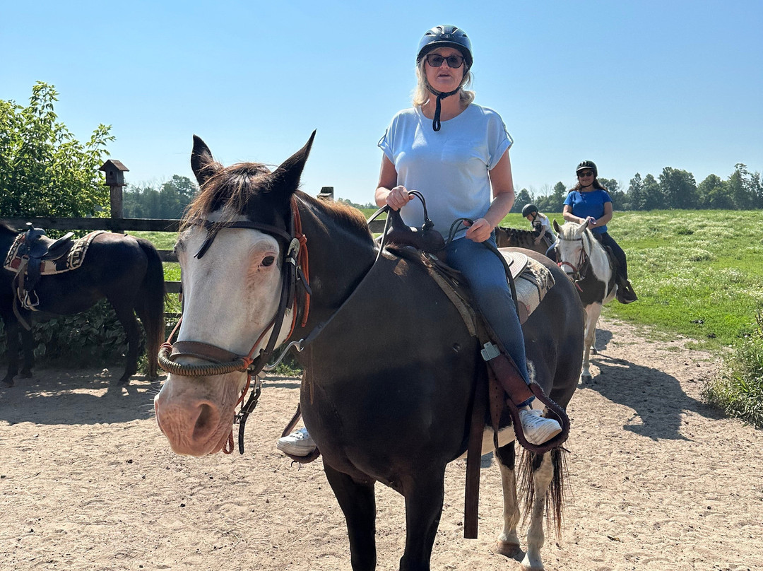 Kurtz Corral-斯特金贝必去景点