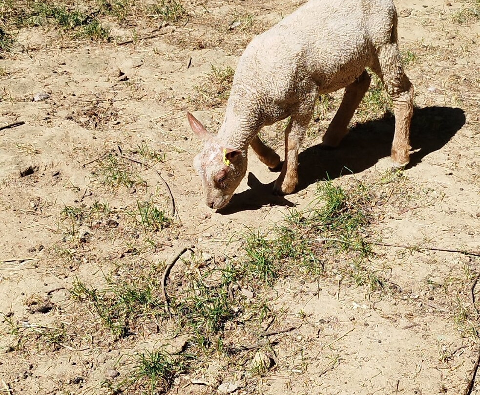 Mouton Village-Vasles必去景点