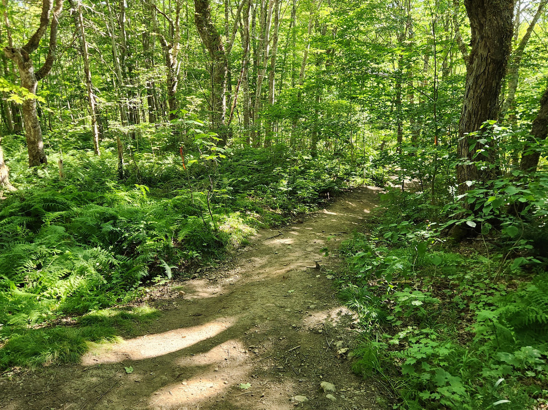 Egypt Falls-Margaree Harbour必去景点