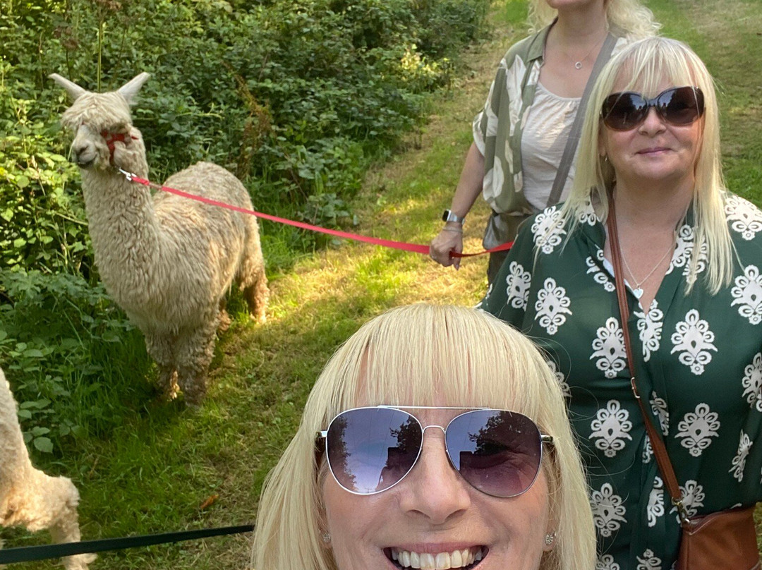 Popham Farm Alpaca Trekking-索尔塔什必去景点