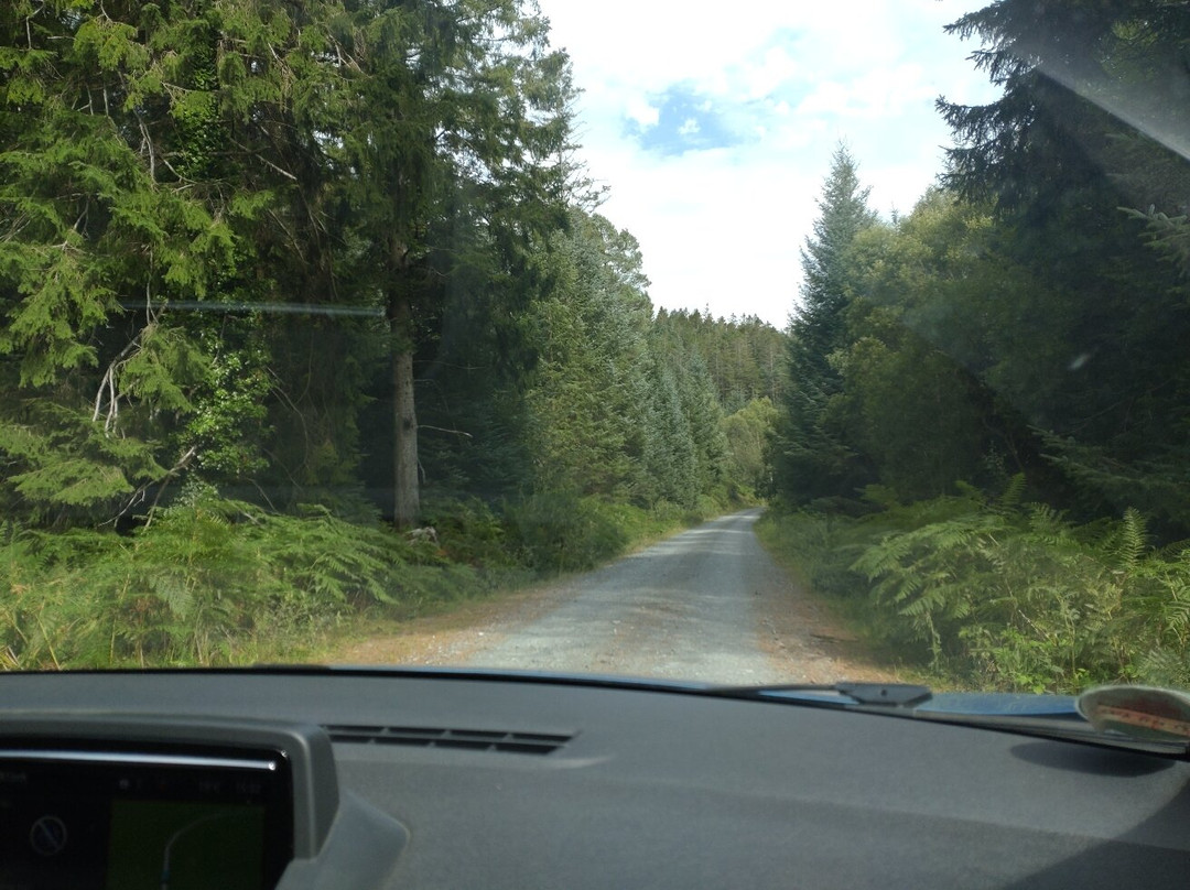 The Raiders Road Forest Drive-邓弗里斯-加洛韦必去景点