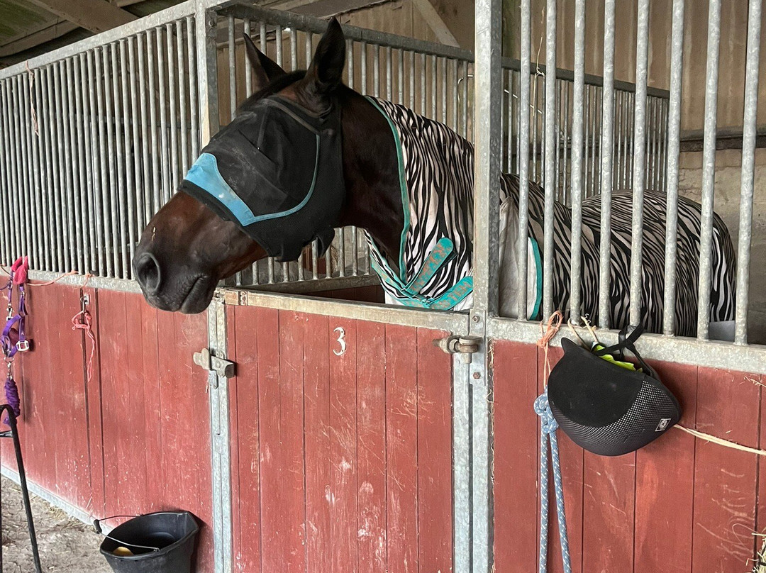 Whitehall Farm Accommodation主图