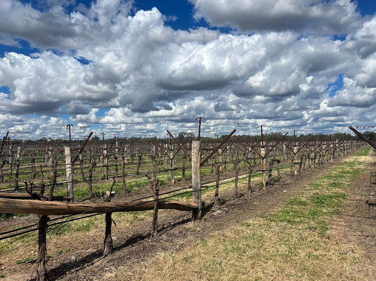 Riversands Winery-St George必去景点