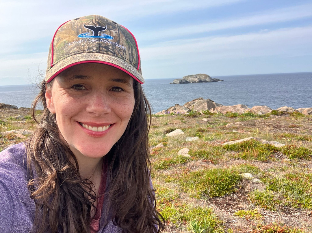 Discovery Sea Adventures-Bonavista必去景点