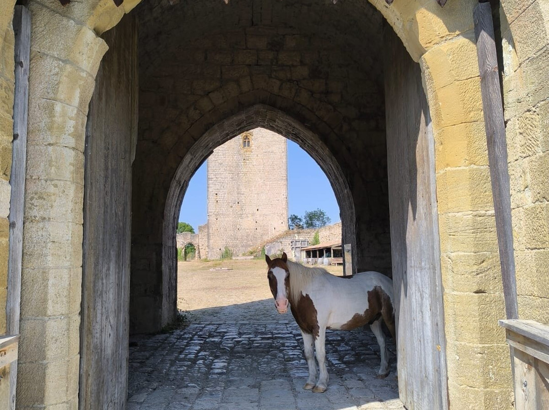 Château de Puivert-Puivert必去景点