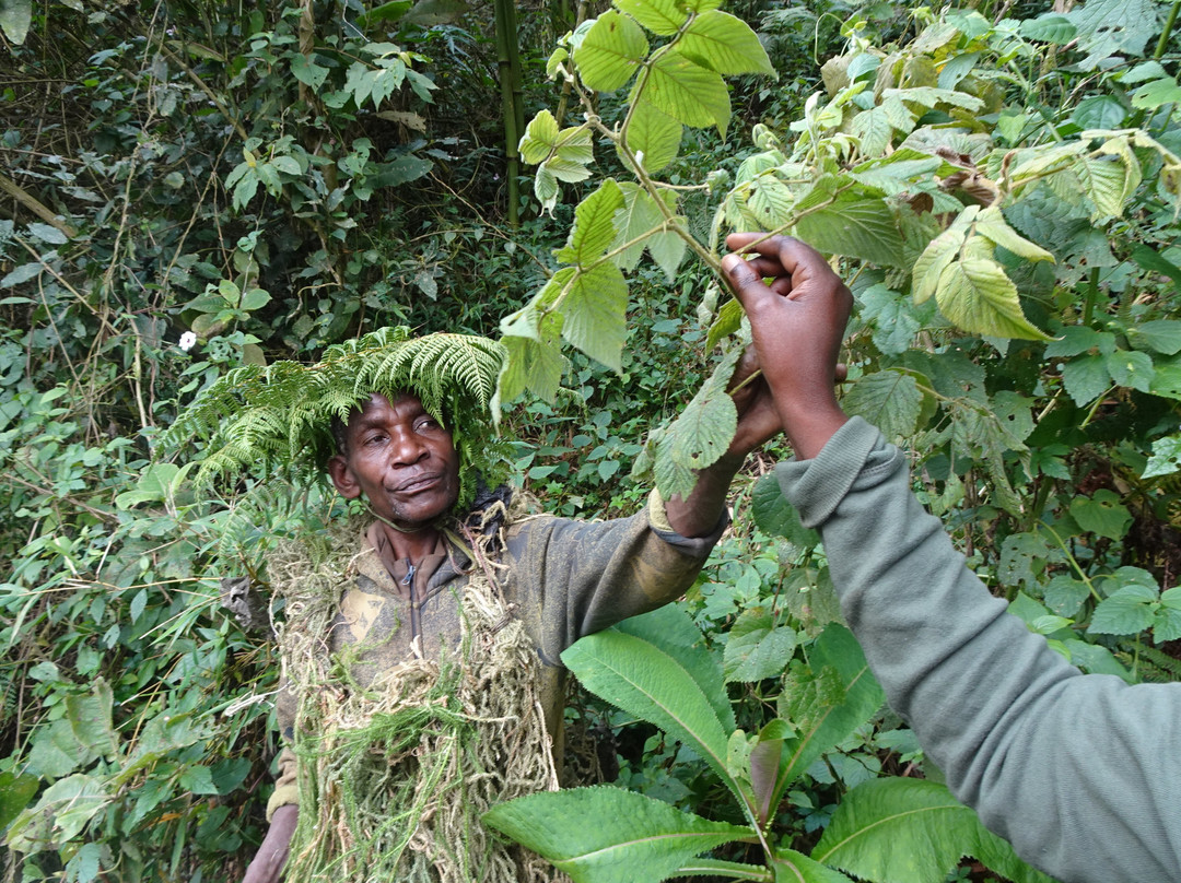 Batwa Trail-Mgahinga Gorilla National Park必去景点