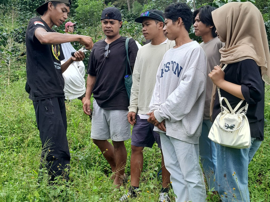 Micofam Lombok Coffee-Sapit必去景点