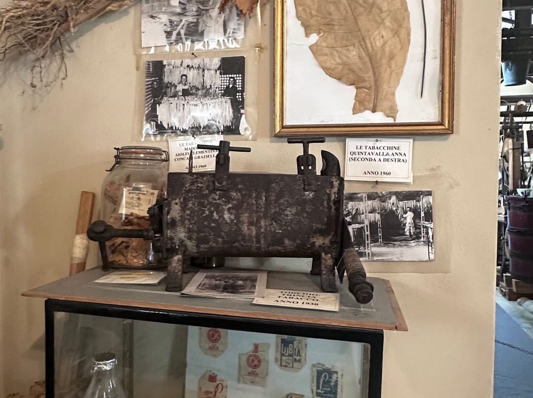 Museo Della Civilta' Contadina-Soragna必去景点