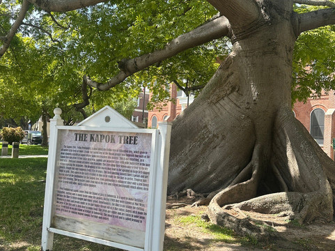 The Kapok Tree-基韦斯特必去景点