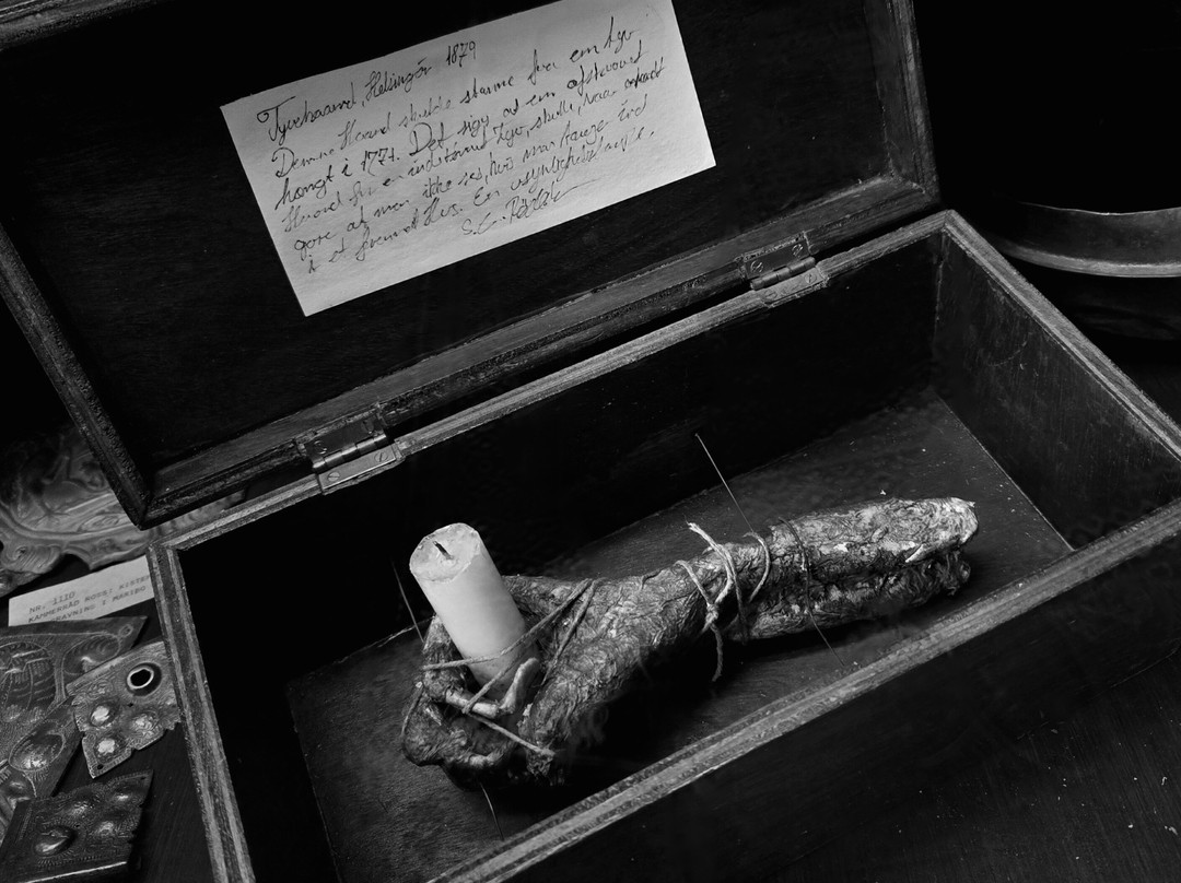 Museum Obscurum-Nykobing Falster必去景点