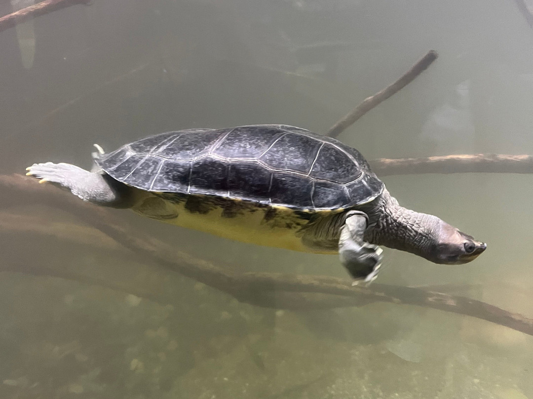 AQUATIS Aquarium Vivarium Lausanne-洛桑必去景点