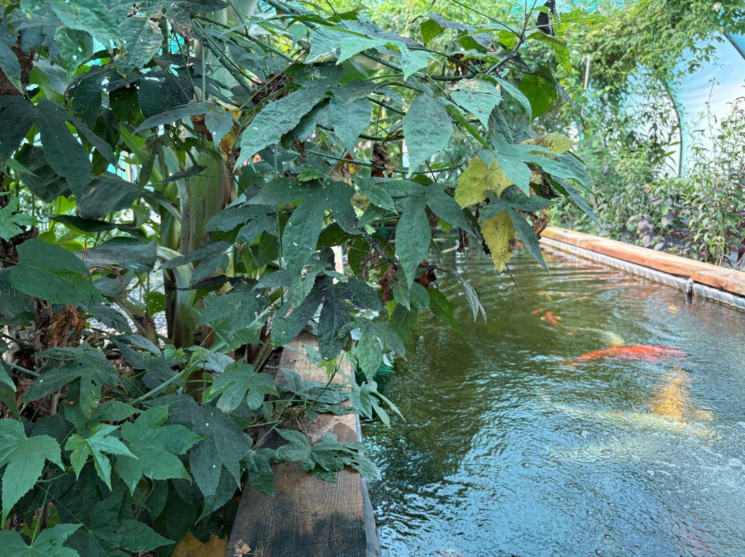 The Bug Parc-Lenwade必去景点