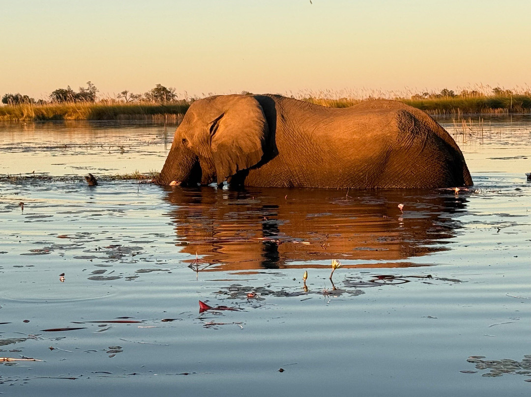 Savanna Safaris and Tours-马翁必去景点
