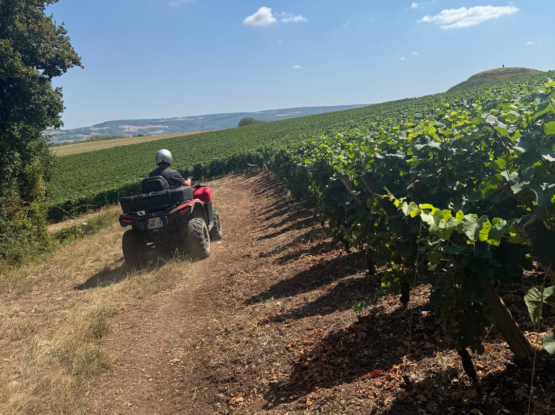 Quad Vignes et Chateaux-Couches必去景点
