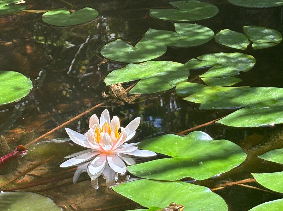 Yoga Pilates Ibiza-伊维萨必去景点