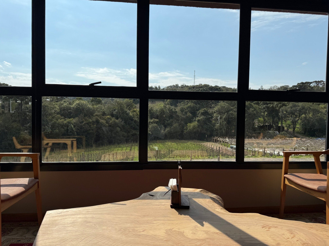 Vinicola Dom Cândido-本图贡萨尔维斯必去景点