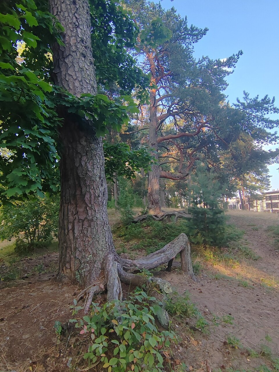 Terijoki Hotel & SPA-官方