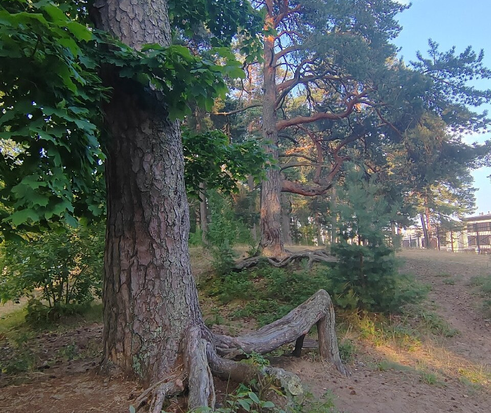 Terijoki Hotel & SPA主图