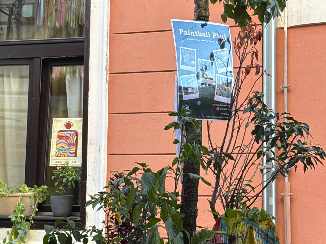 Kavarna Bodi-普图伊必去景点