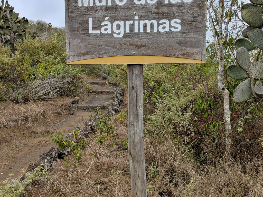 The Wall of Tears-维里亚米尔港必去景点