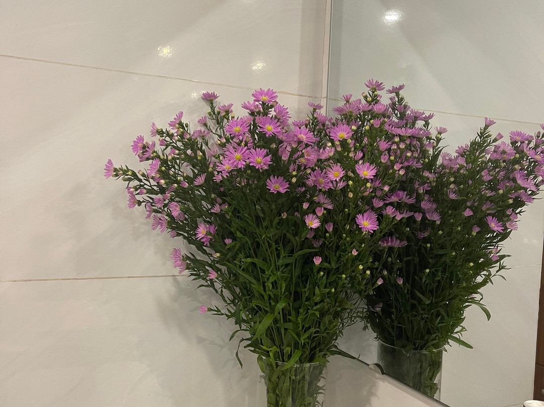 Sum Spa Danang-岘港必去景点