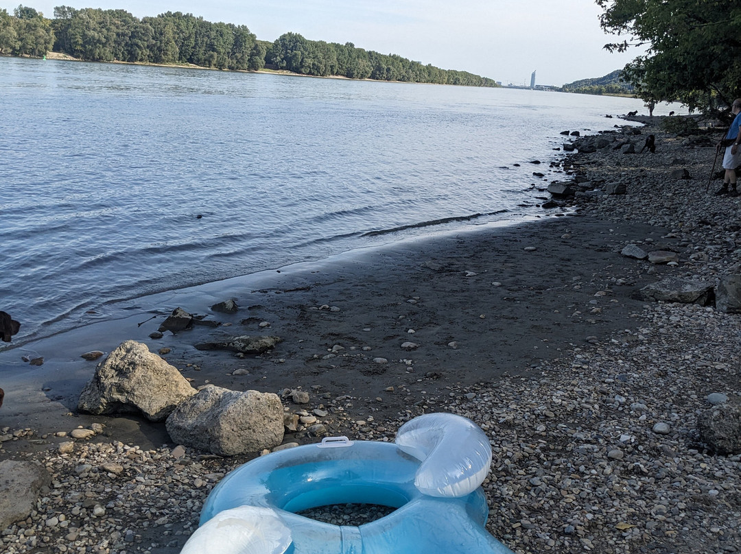 Jochen's Tubing Experience-Kritzendorf必去景点