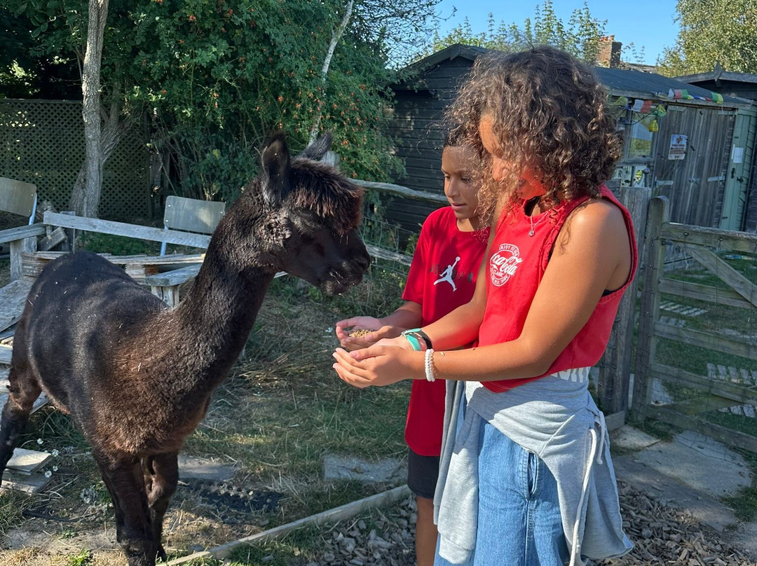 Fisherwood farm-Robertsbridge必去景点