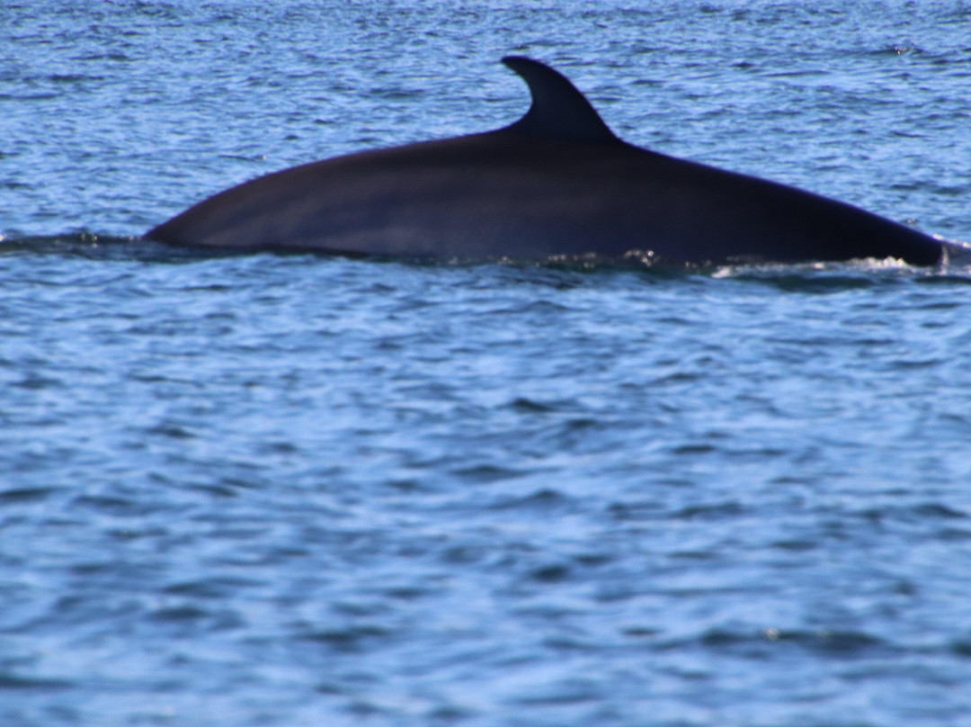 Sentier de la Pointe-de-l'Islet Trail-泰道沙克必去景点