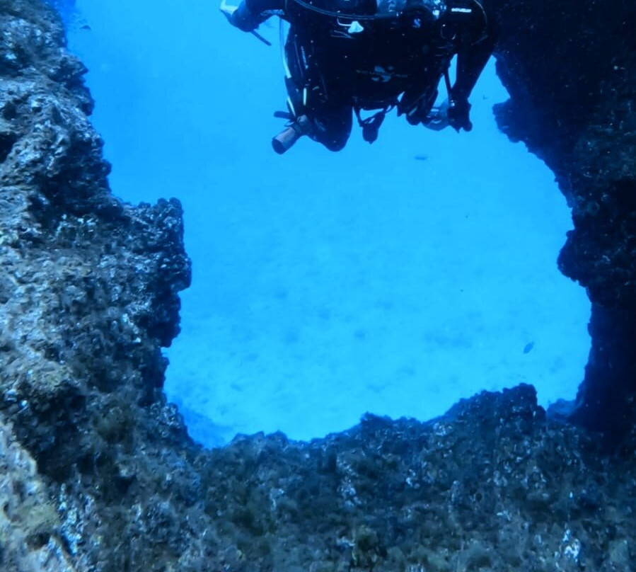 Dive Lovers Tenerife Dive Center-Costa del Silencio必去景点