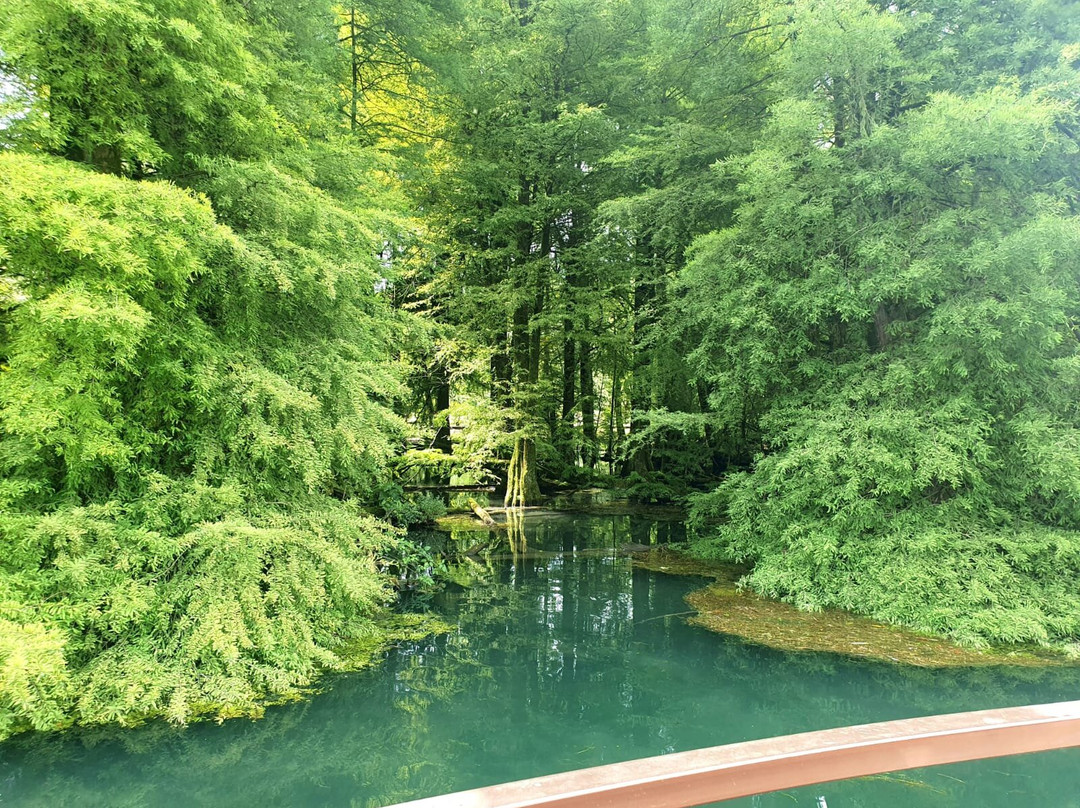 Parco protetto dei Tassodi-Paratico必去景点