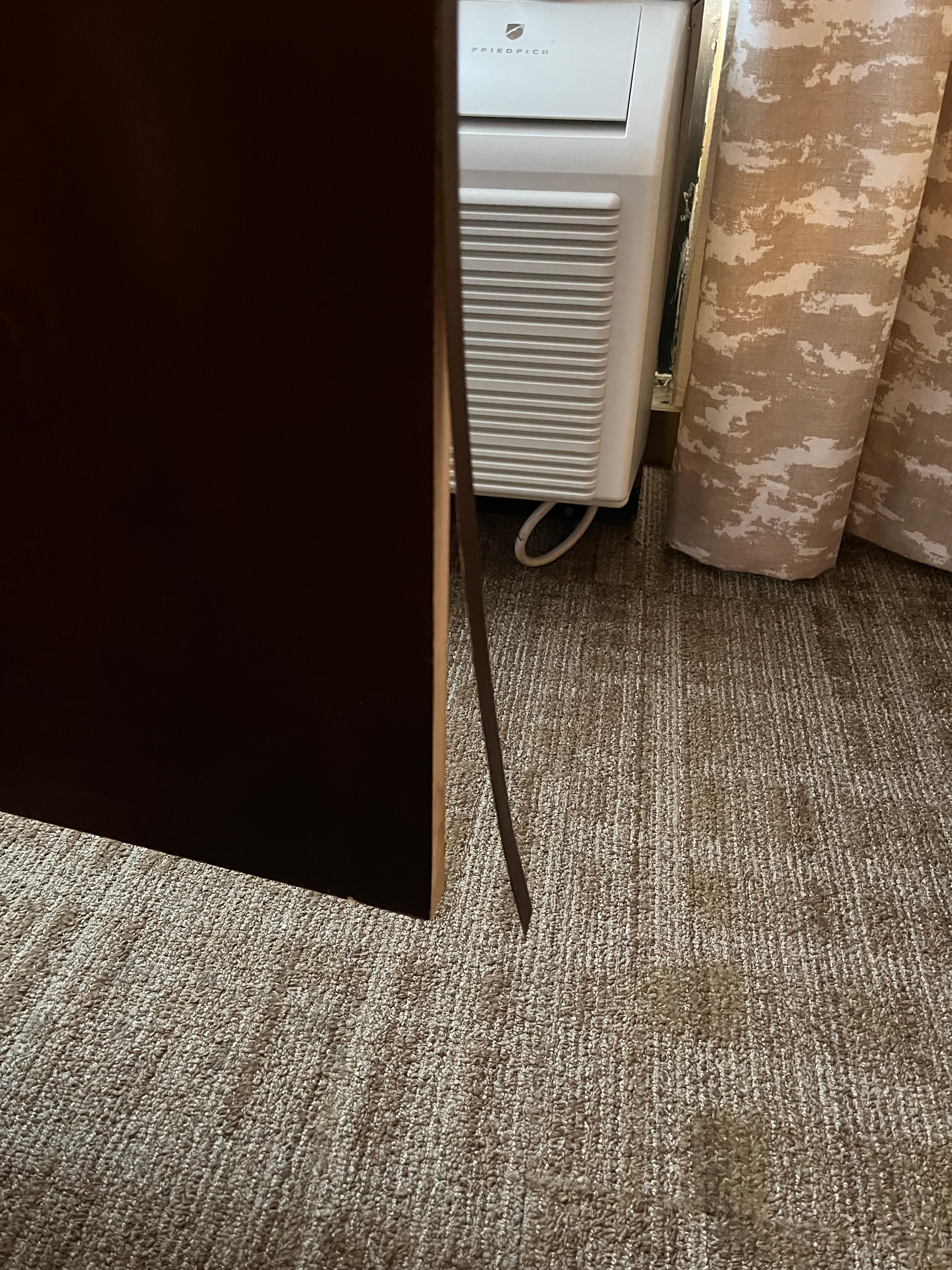 Hampton Inn East Lansing-客卧