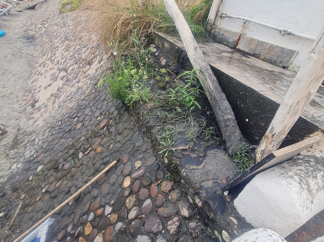Hotel E Resort Acqua DI Mare主图