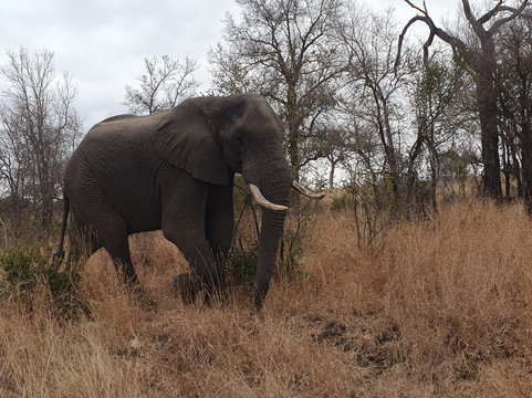 Ashridge Safaris & Guesthouse-雾观必去景点