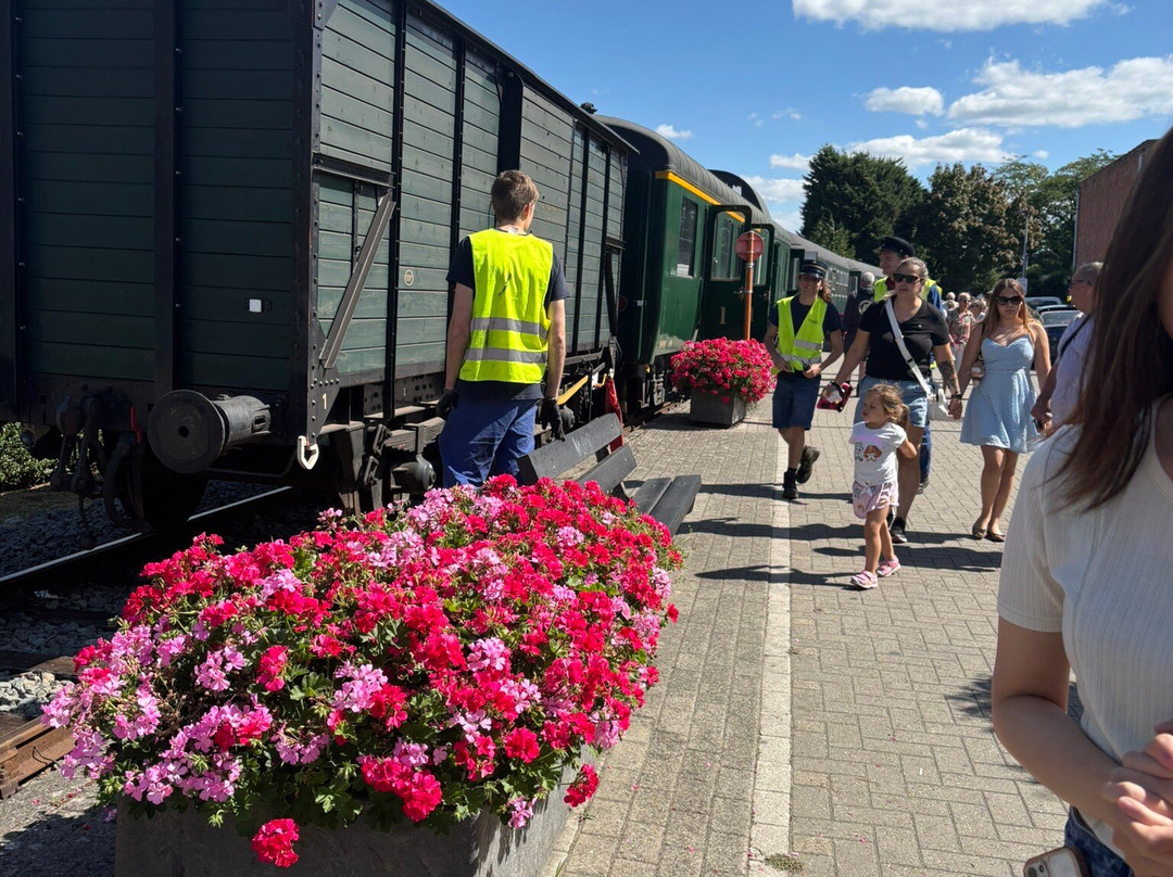 Steam Train Dendermonde-Puurs-登德尔蒙德必去景点