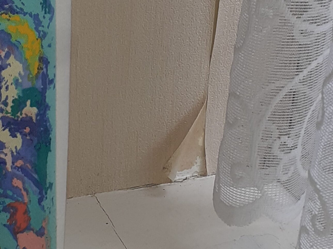 The Royal Bridlington主图