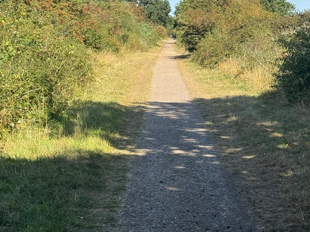 Brampton Valley Way-Chapel Brampton必去景点