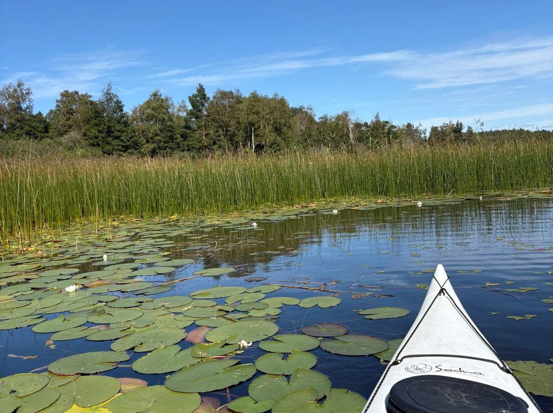 WildOslo-奥斯陆必去景点
