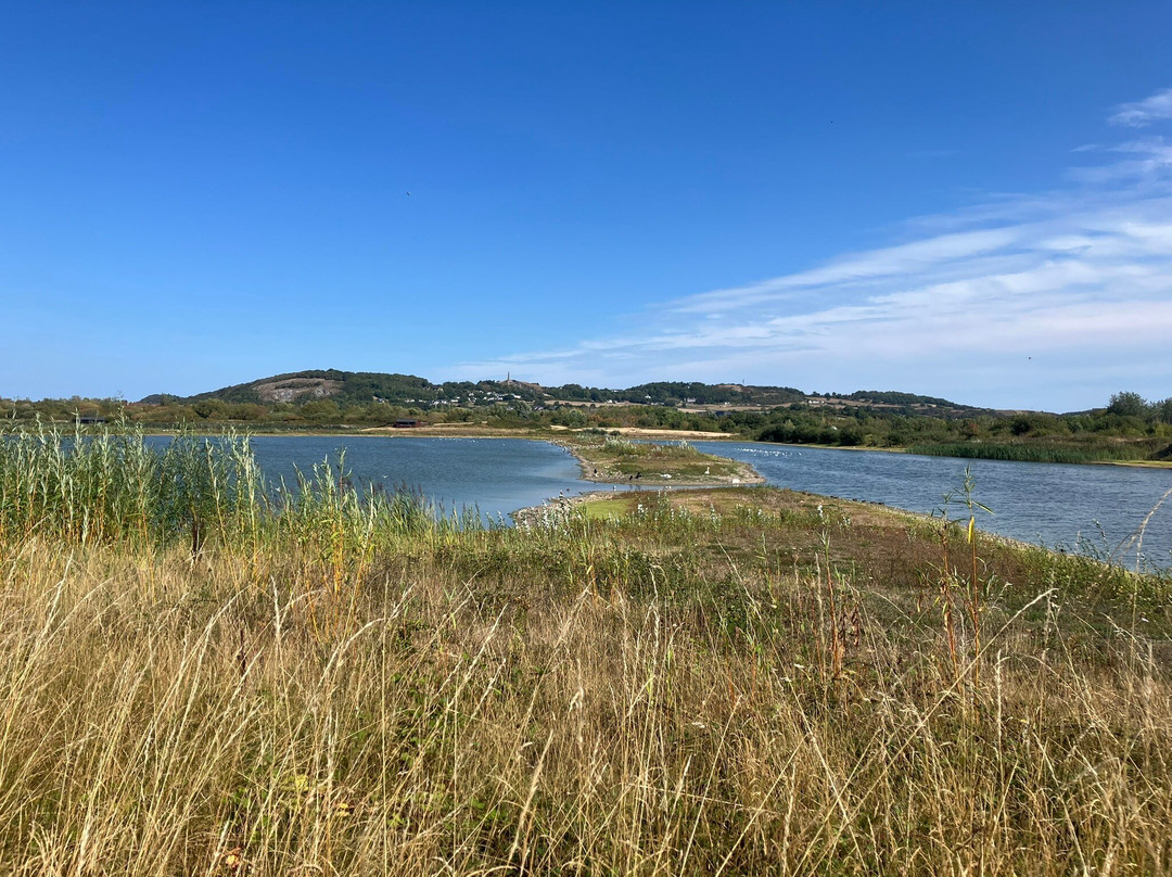 RSPB Conwy Nature Reserve-Llandudno Junction必去景点
