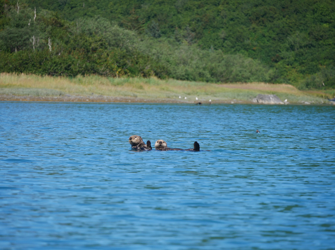 Alaska Wildland Adventures-Cooper Landing必去景点