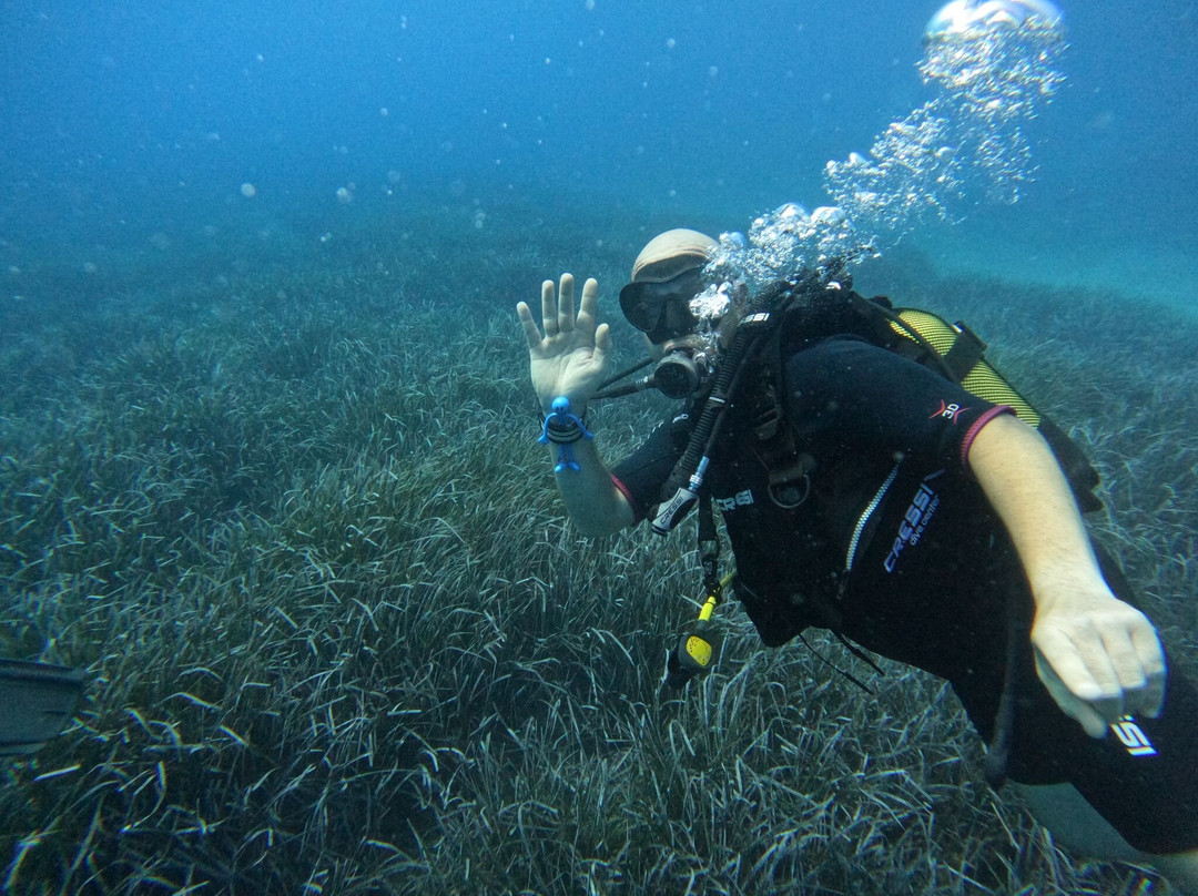 Pelagos Dive Centre-Agios Nikolaos必去景点