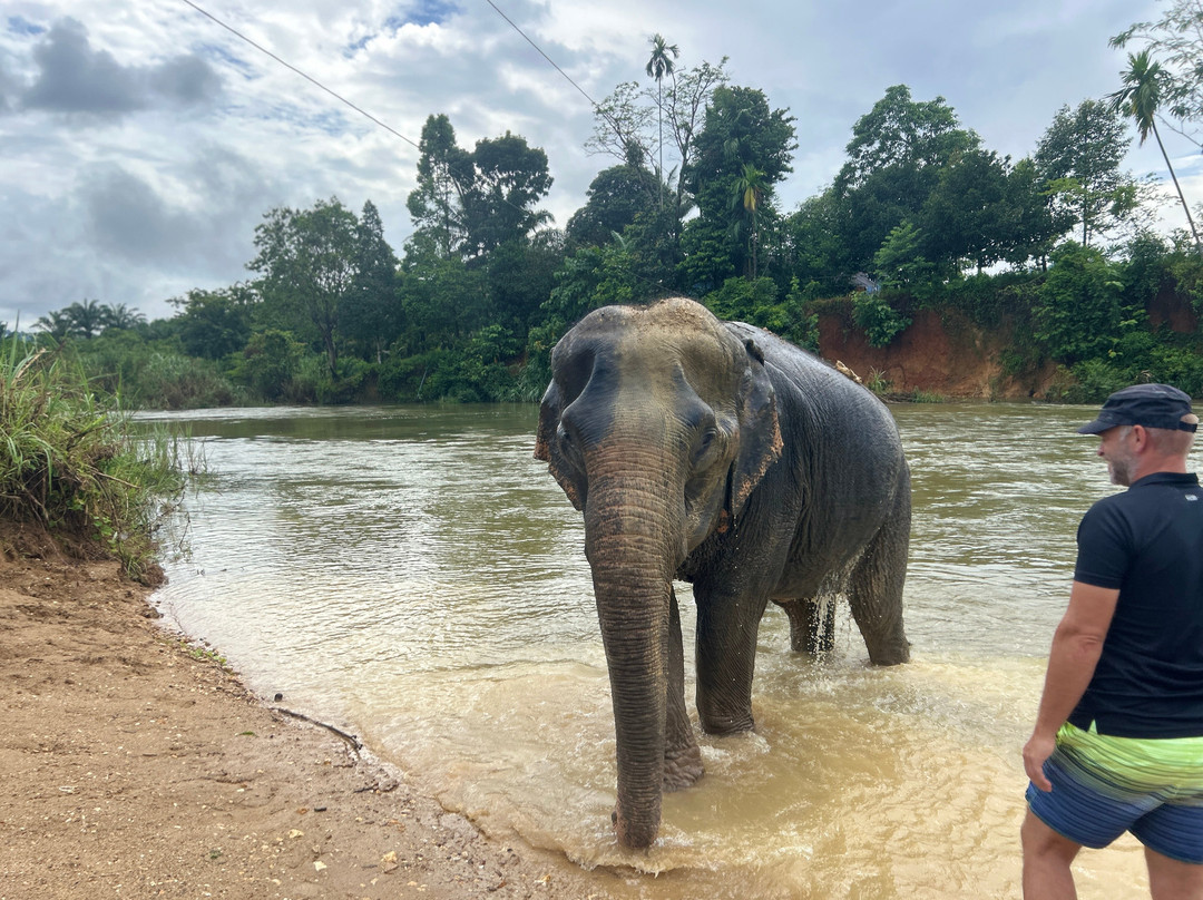 Khao Sok Elephant Sanctuary-拷索国家公园必去景点