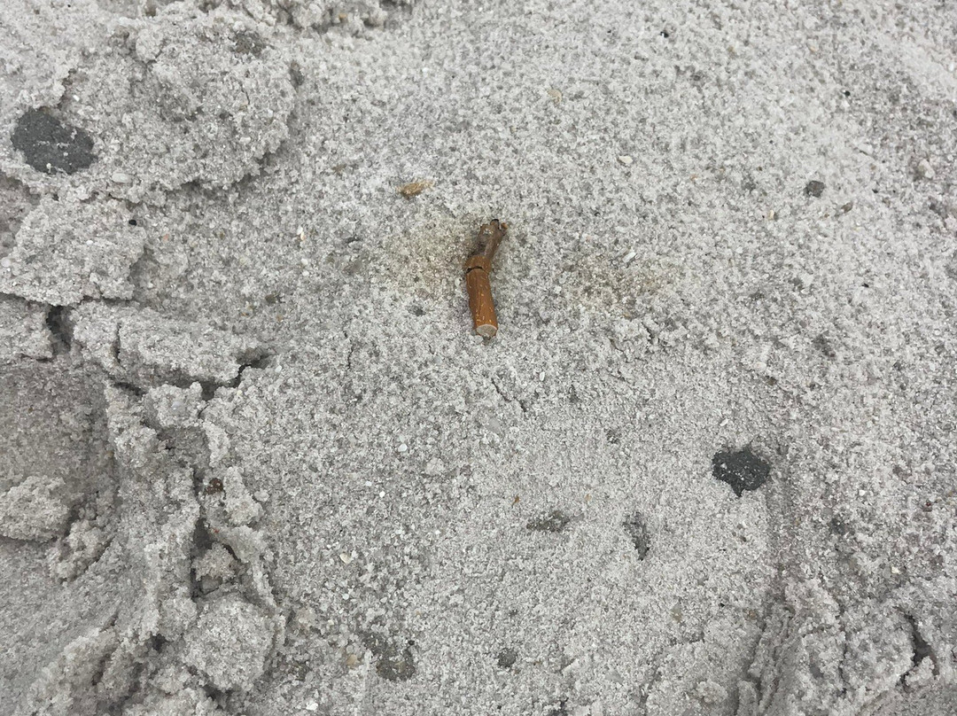 Brightwater Lagoon-North Fort Myers必去景点