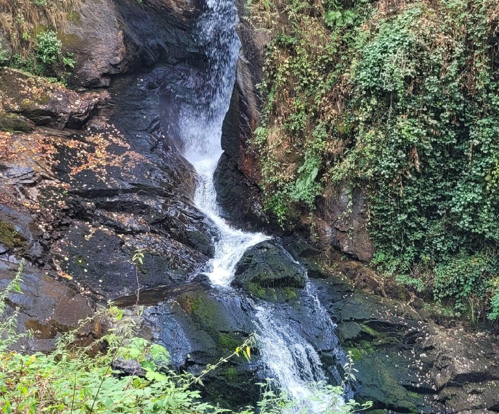 Parc Vuillier-Gimel-les-Cascades必去景点