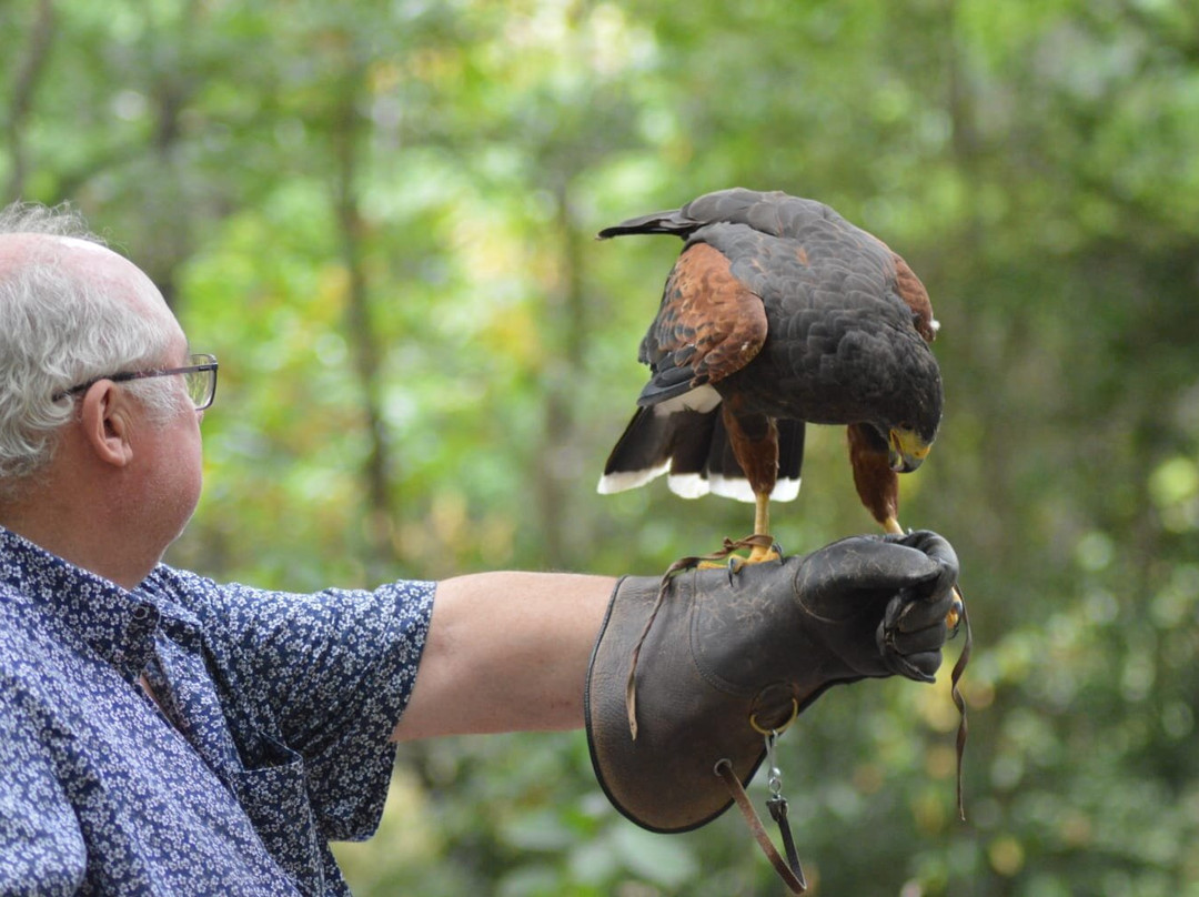 Mon Perroquet & Cie-Montrichard必去景点