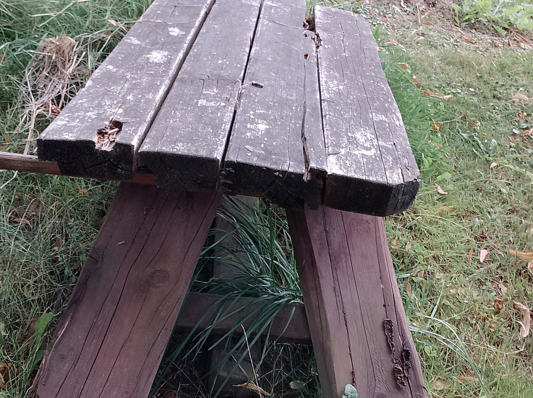 Draisine Rinteln-Rinteln必去景点